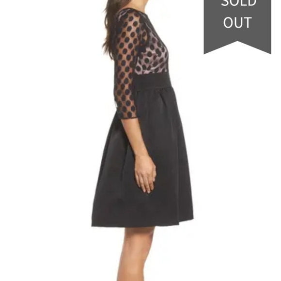 Eiza J Dot Mesh Fit and Flare Dress with pockets - Picture 4 of 15